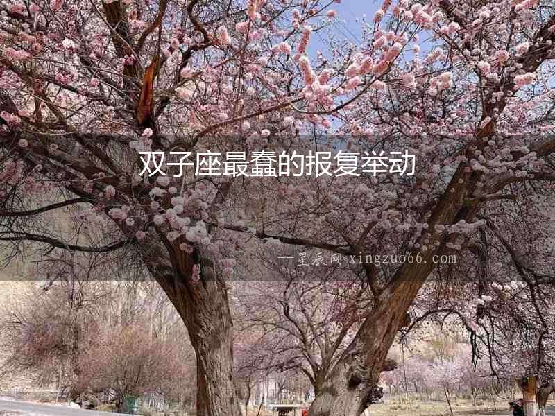 雙子座最蠢的報復舉動
