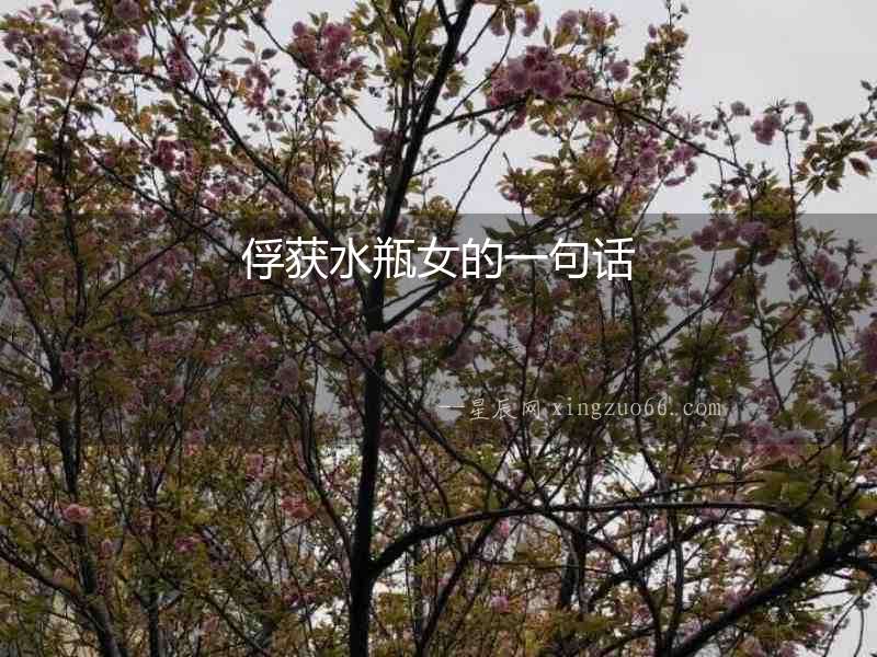 俘獲水瓶女的一句話