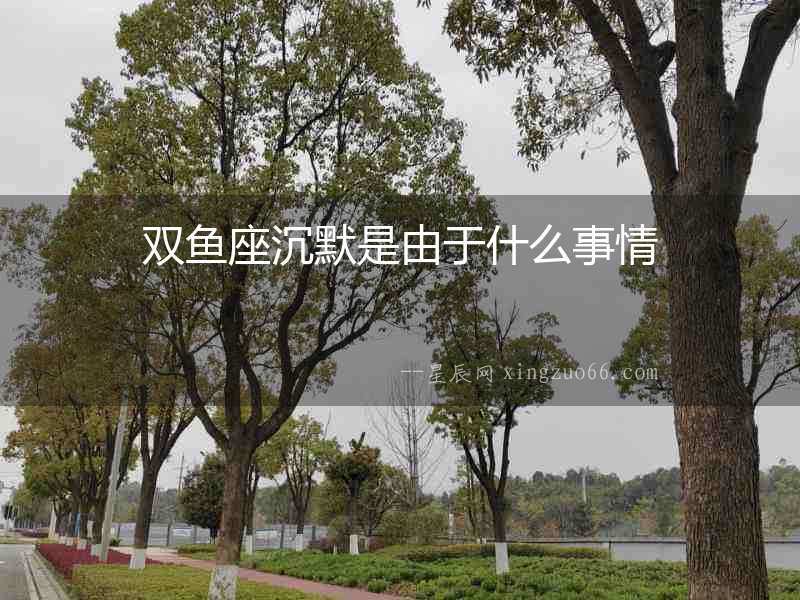 雙魚座沉默是由于什么事情