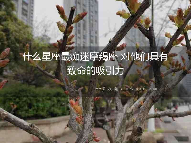 什么星座最癡迷摩羯座 對他們具有致命的吸引力