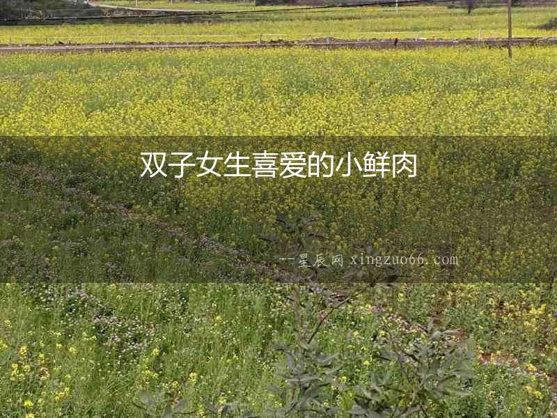 雙子女生喜愛(ài)的小鮮肉