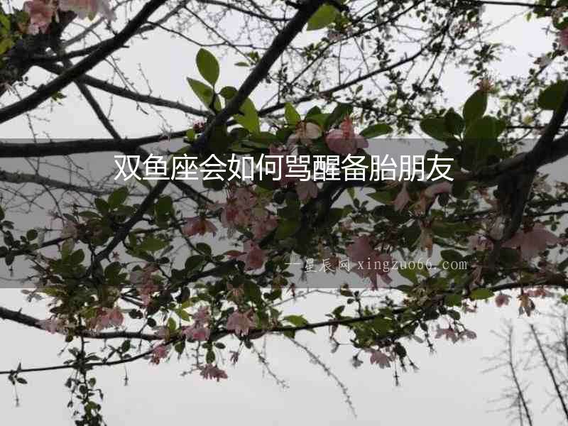 雙魚座會如何罵醒備胎朋友