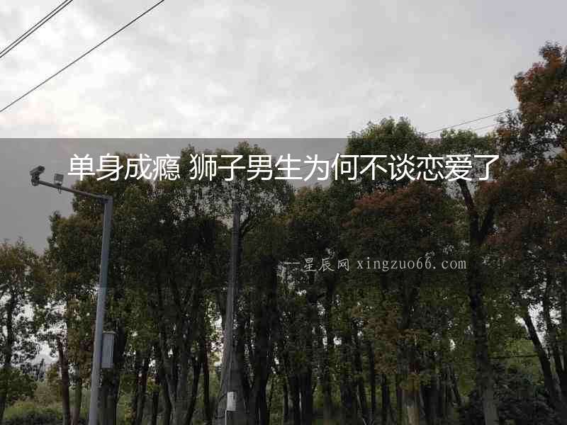 單身成癮 獅子男生為何不談戀愛了