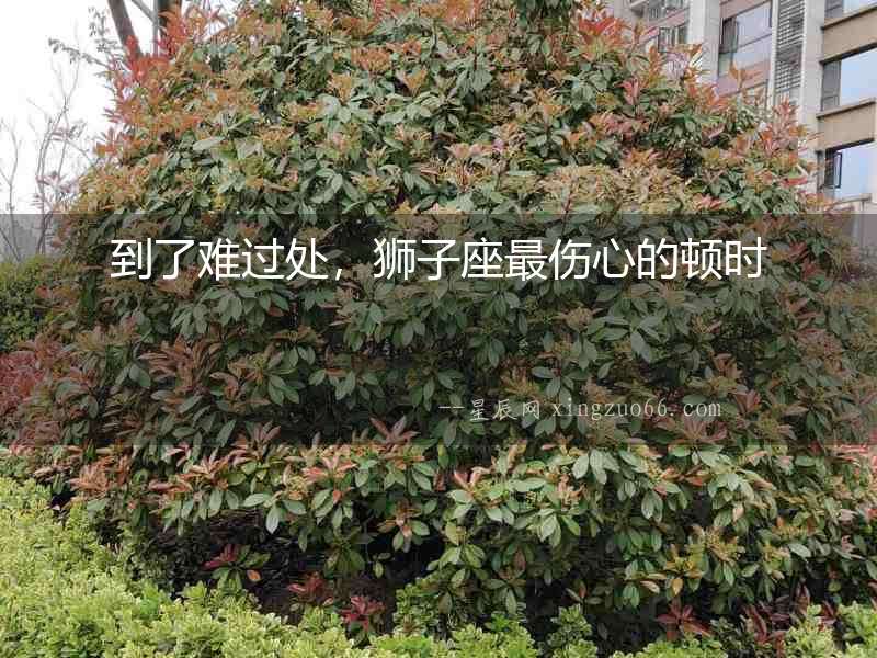 到了難過處，獅子座最傷心的頓時
