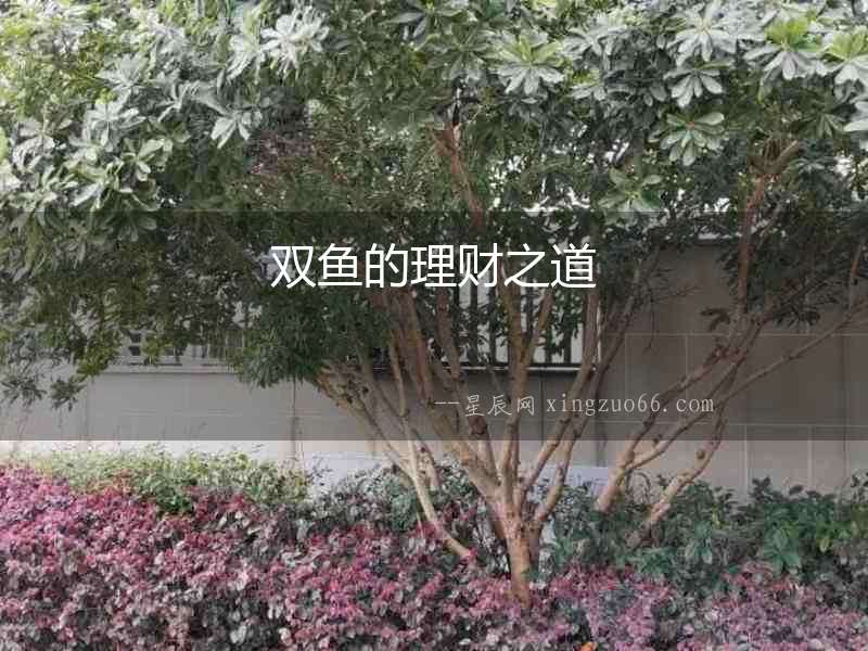 雙魚的理財之道