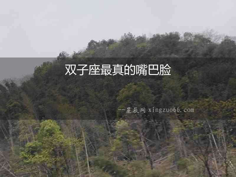 雙子座最真的嘴巴臉