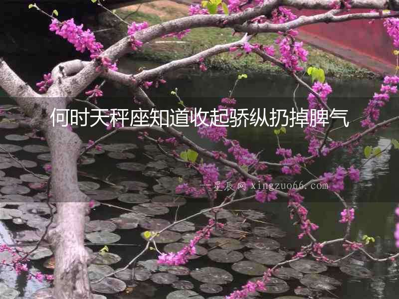 何時天秤座知道收起驕縱扔掉脾氣