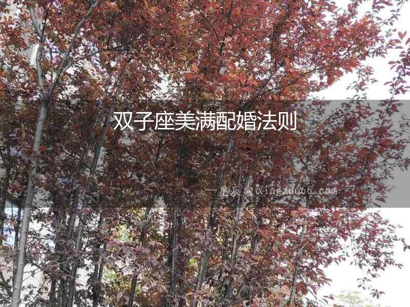 雙子座美滿配婚法則