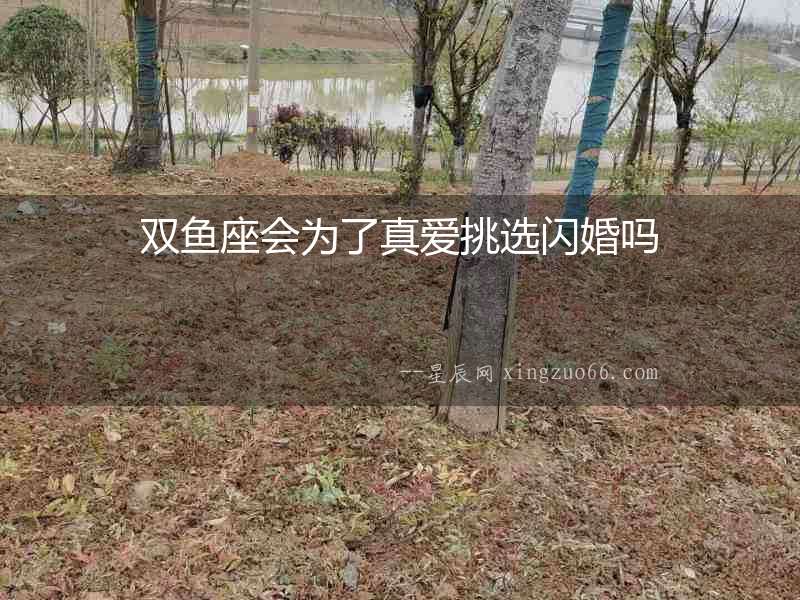 雙魚座會為了真愛挑選閃婚嗎