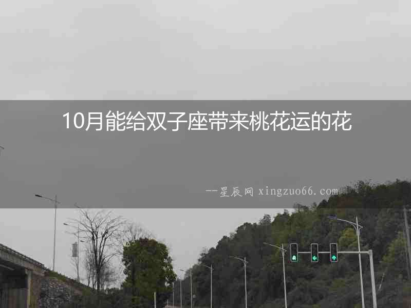 10月能給雙子座帶來桃花運的花