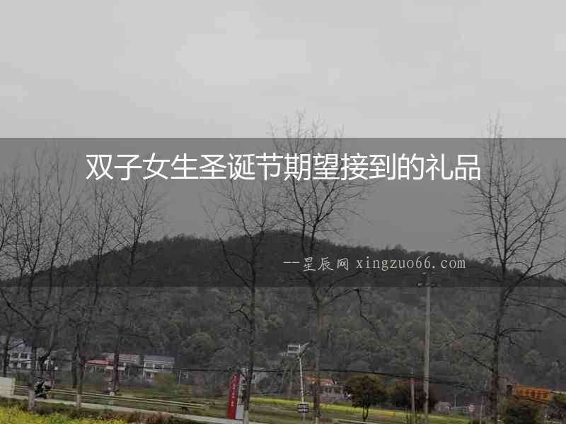 雙子女生圣誕節期望接到的禮品