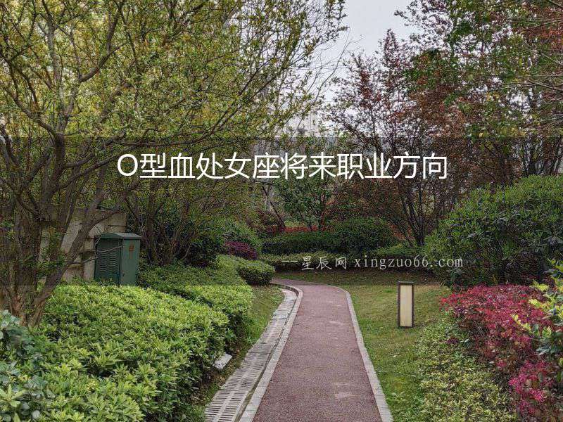 O型血處女座將來職業方向