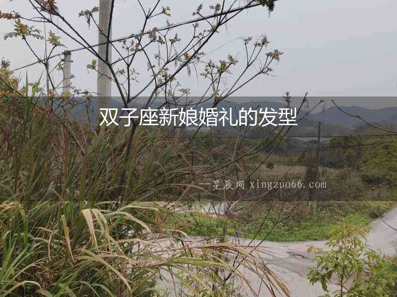 雙子座新娘婚禮的發型