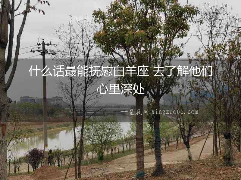 什么話最能撫慰白羊座 去了解他們心里深處
