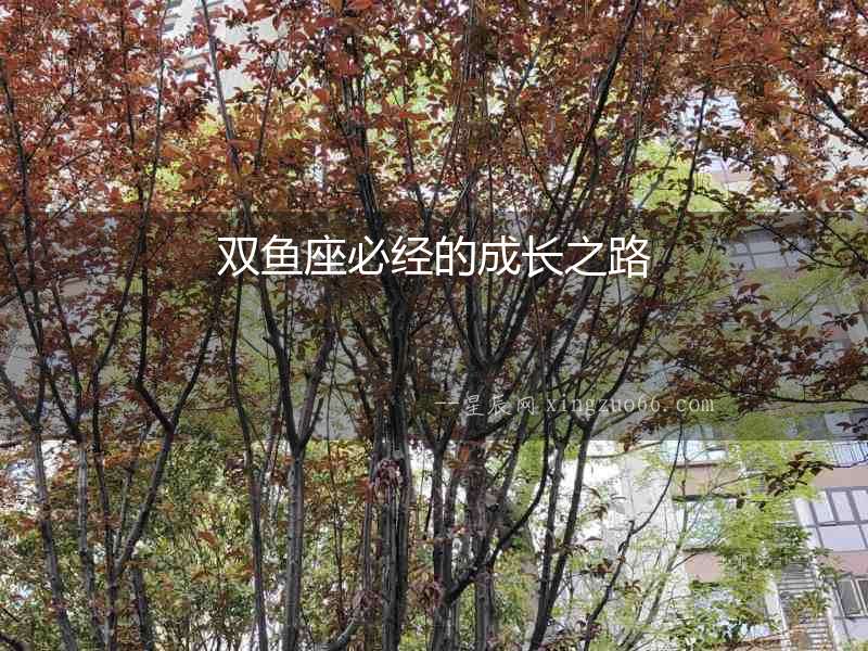 雙魚座必經(jīng)的成長之路