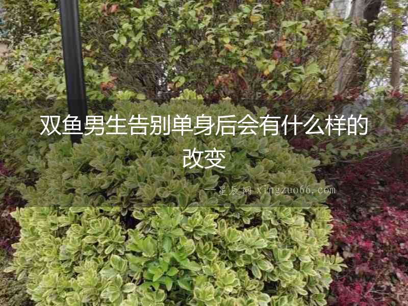 雙魚男生告別單身后會有什么樣的改變