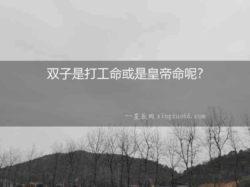 雙子是打工命或是皇帝命呢？