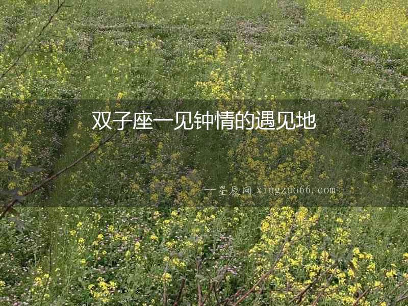 雙子座一見鐘情的遇見地