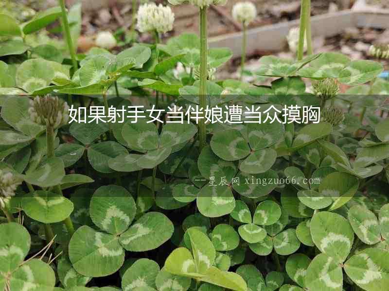 如果射手女當伴娘遭當眾摸胸