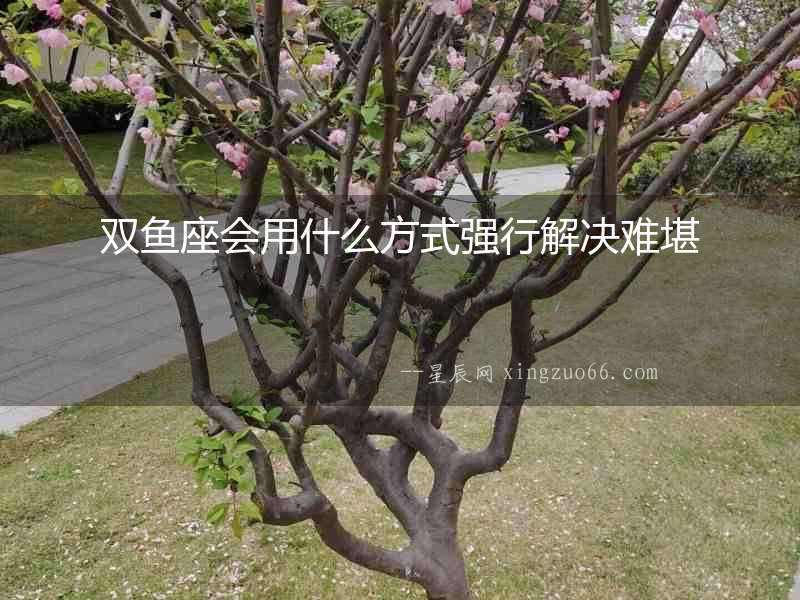 雙魚座會(huì)用什么方式強(qiáng)行解決難堪