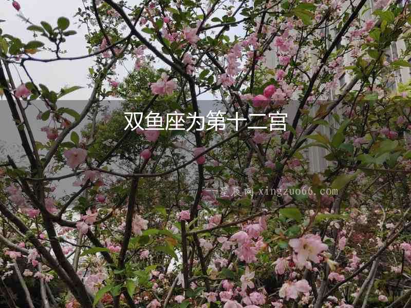 雙魚座為第十二宮