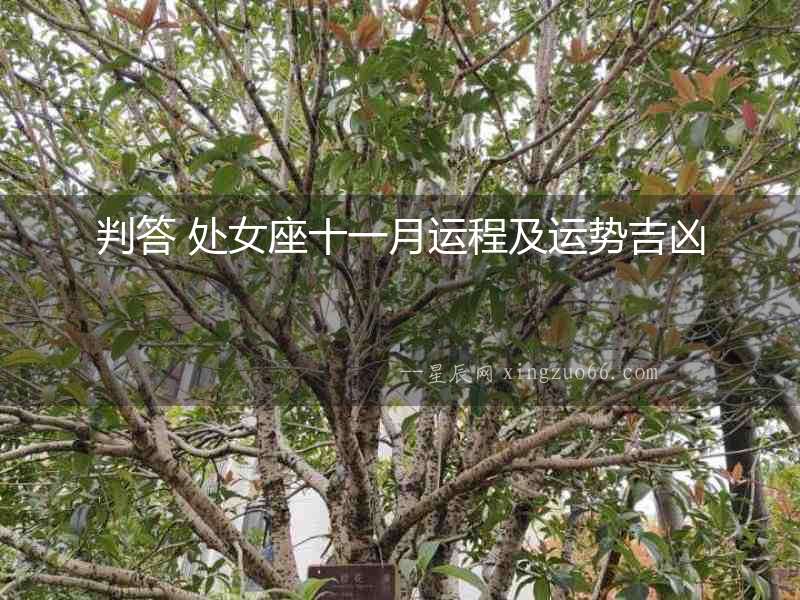判答 處女座十一月運程及運勢吉兇