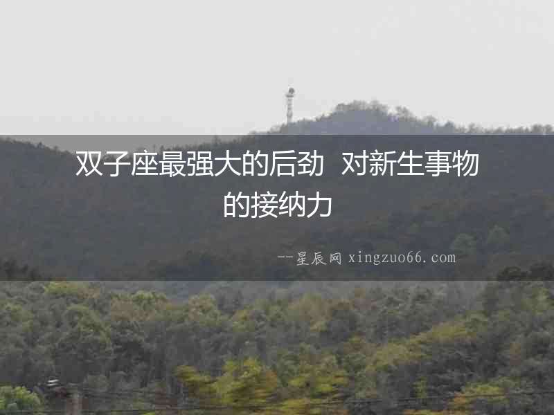 雙子座最強大的后勁  對新生事物的接納力