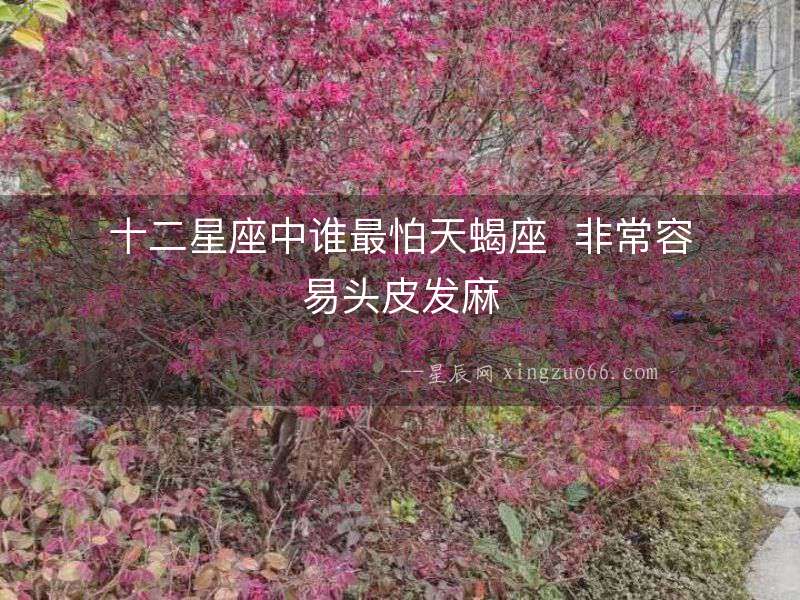 十二星座中誰最怕天蝎座  非常容易頭皮發(fā)麻