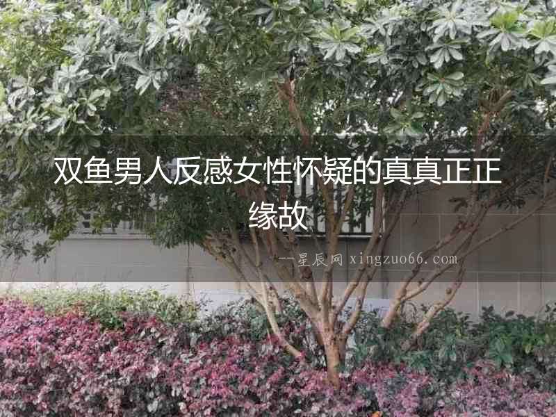 雙魚男人反感女性懷疑的真真正正緣故