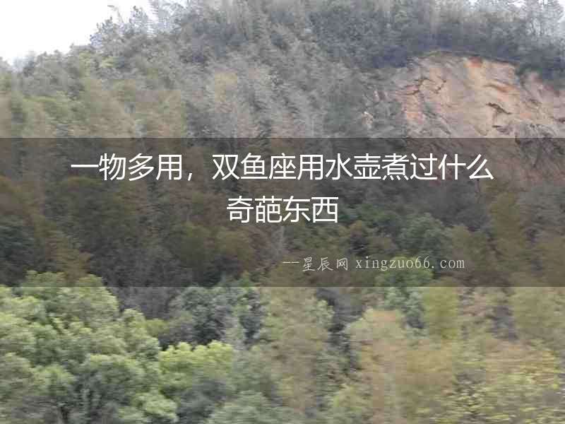 一物多用，雙魚座用水壺煮過什么奇葩東西