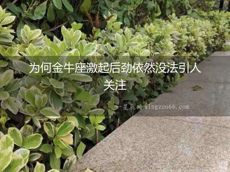 為何金牛座激起后勁依然沒法引人關注