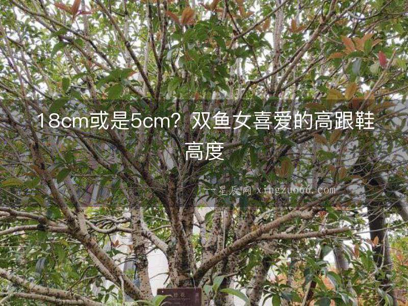 18cm或是5cm？雙魚女喜愛的高跟鞋高度