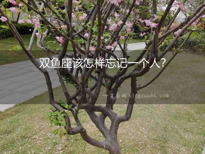 雙魚座該怎樣忘記一個人？