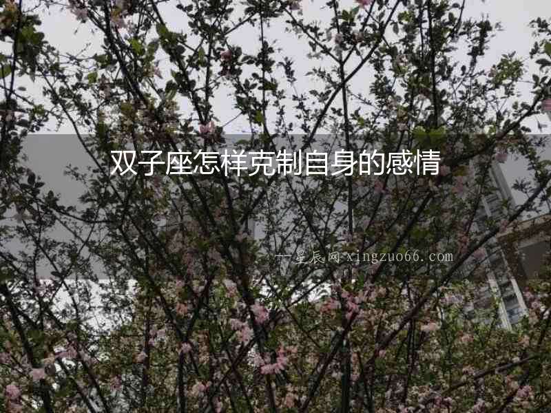 雙子座怎樣克制自身的感情