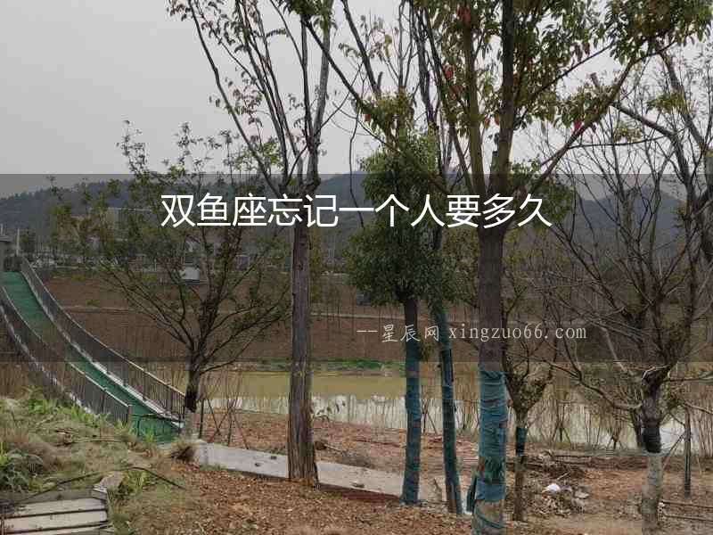 雙魚座忘記一個人要多久