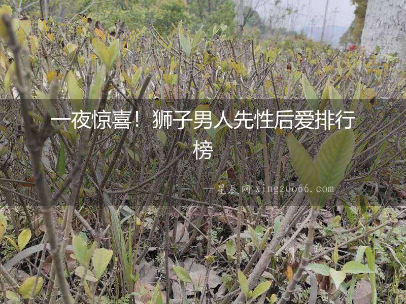 一夜驚喜！獅子男人先性后愛排行榜