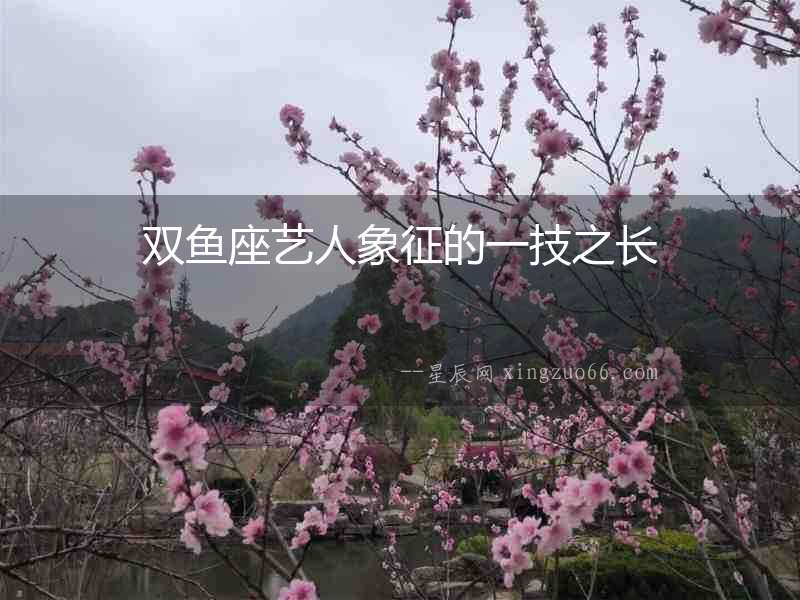 雙魚座藝人象征的一技之長