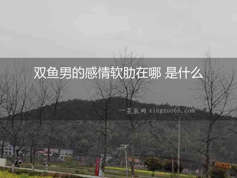 雙魚男的感情軟肋在哪 是什么