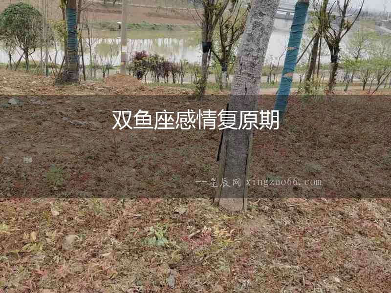 雙魚座感情復(fù)原期