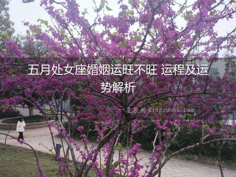 五月處女座婚姻運旺不旺 運程及運勢解析