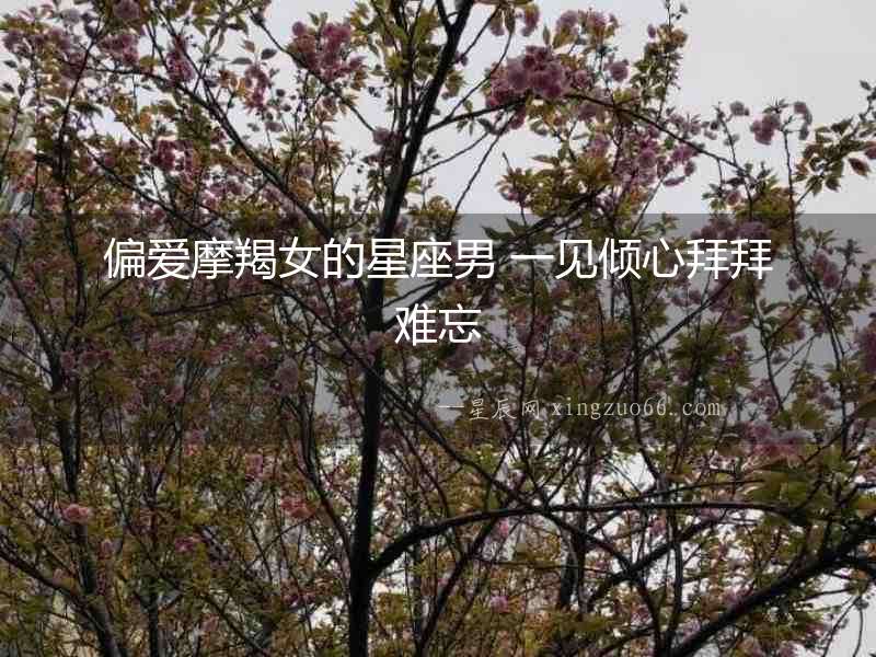 偏愛摩羯女的星座男 一見傾心拜拜難忘
