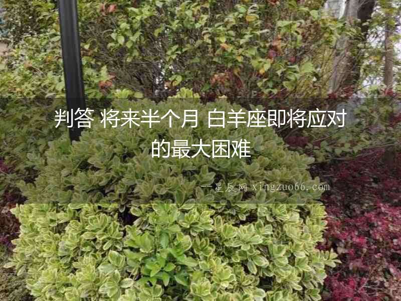 判答 將來半個月 白羊座即將應對的最大困難