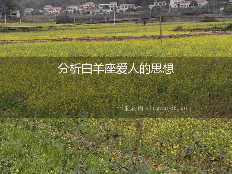分析白羊座愛人的思想