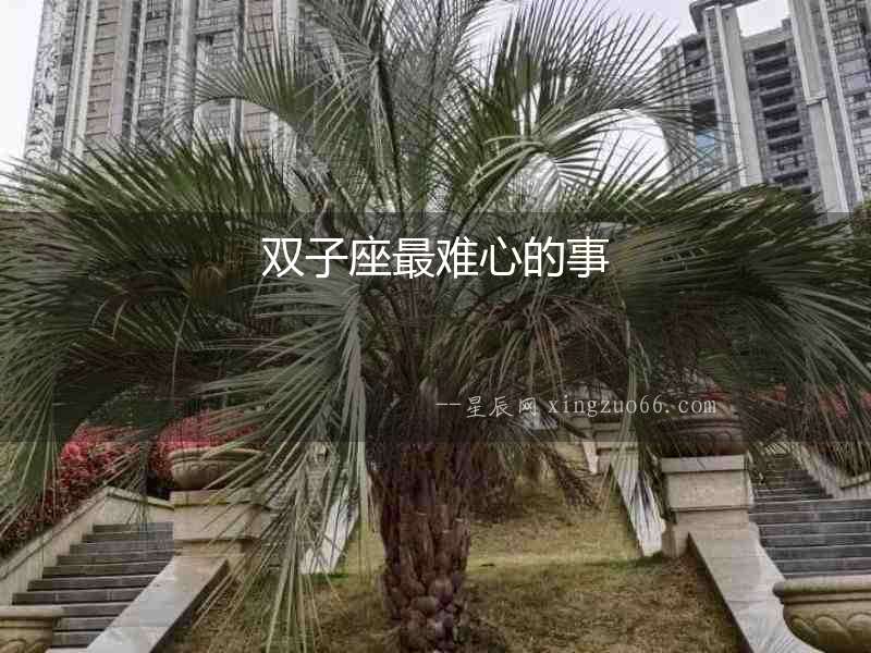 雙子座最難心的事