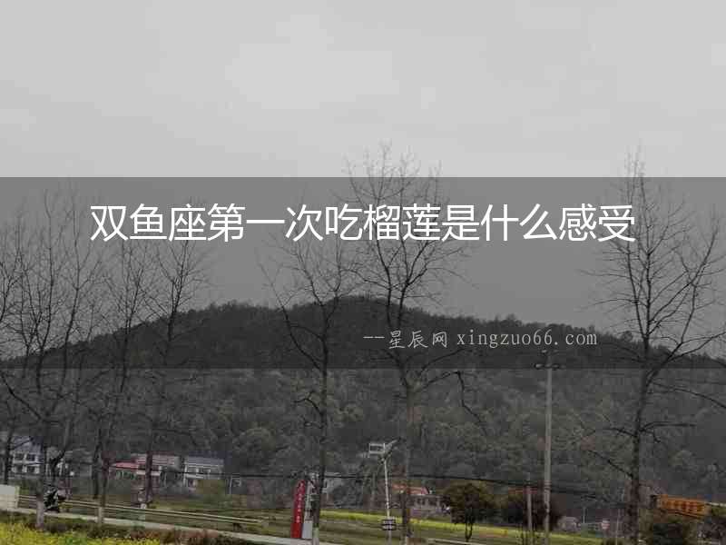 雙魚座第一次吃榴蓮是什么感受