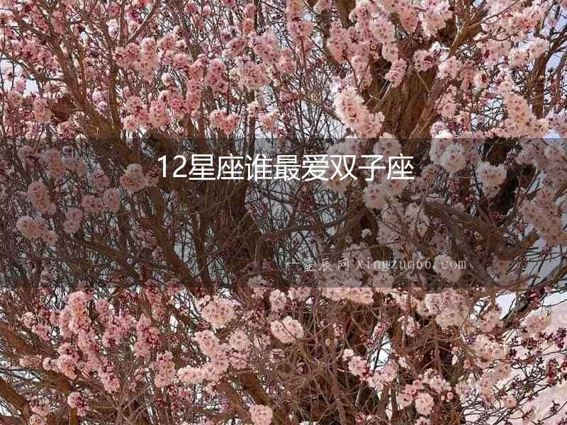 12星座誰最愛雙子座