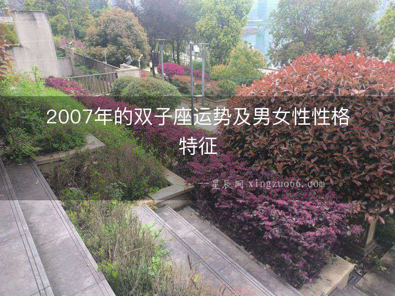 2007年的雙子座運勢及男女性性格特征
