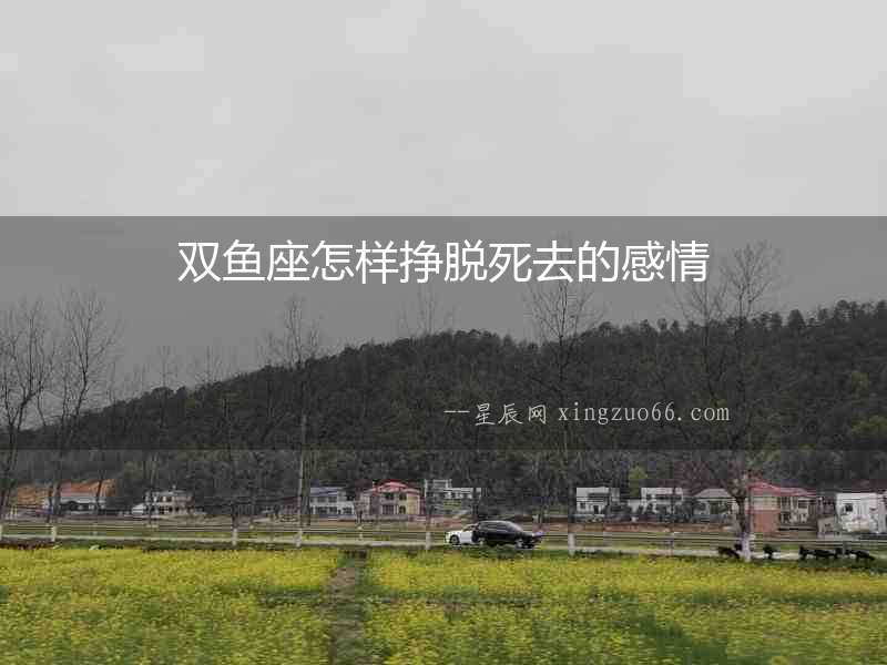 雙魚座怎樣掙脫死去的感情