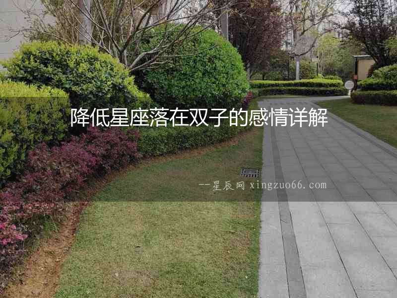 降低星座落在雙子的感情詳解