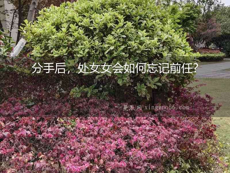 分手后，處女女會如何忘記前任？